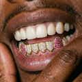 Purple Reign Grillz in Gold